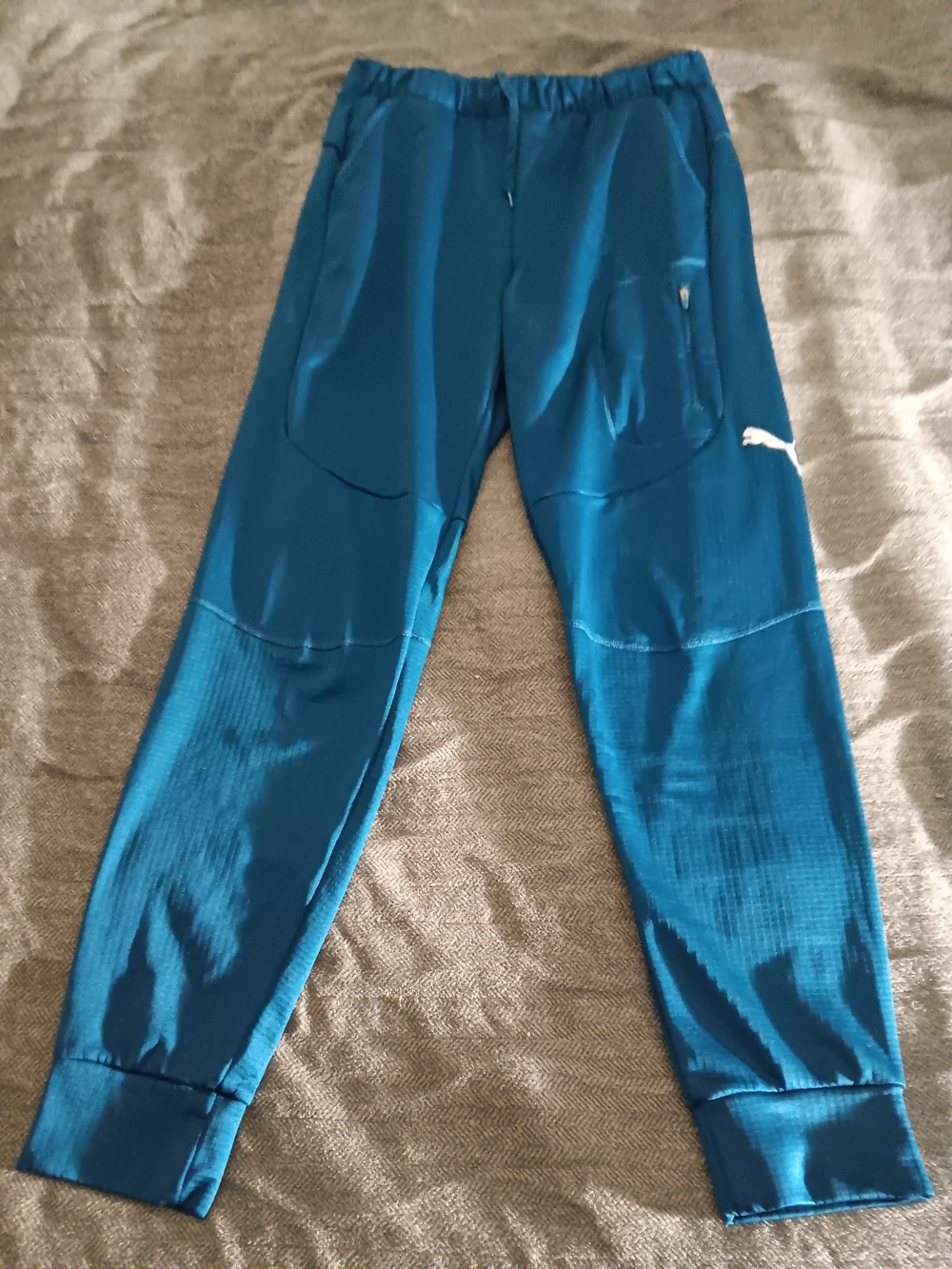 Puma Men's Teal Athletic Jogger Pants